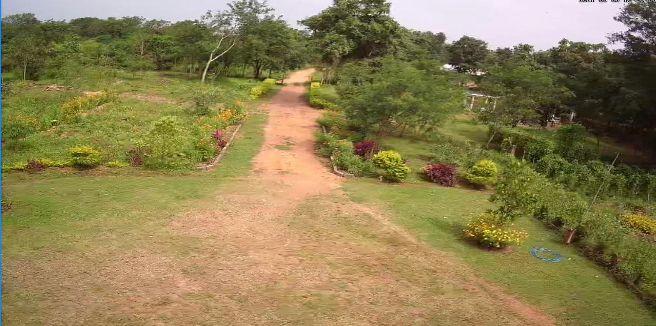 Peacock Resort Anuradhapura Bagian luar foto