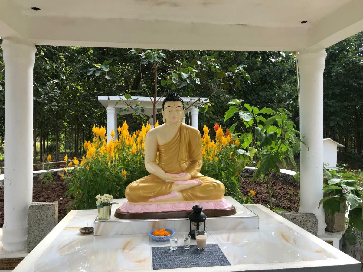 Peacock Resort Anuradhapura Bagian luar foto