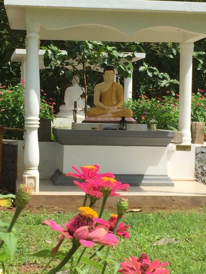 Peacock Resort Anuradhapura Bagian luar foto