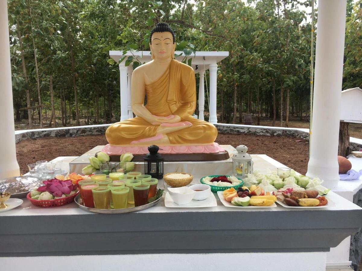 Peacock Resort Anuradhapura Bagian luar foto