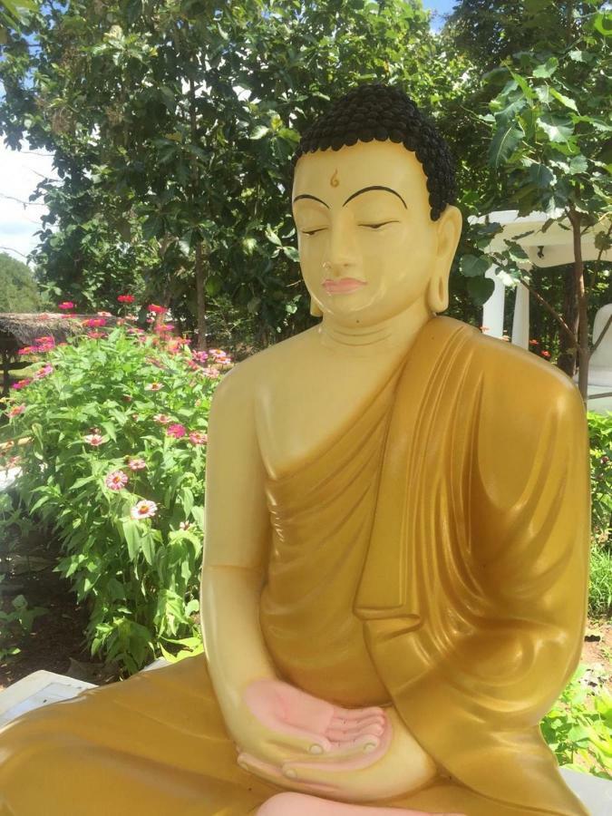 Peacock Resort Anuradhapura Bagian luar foto