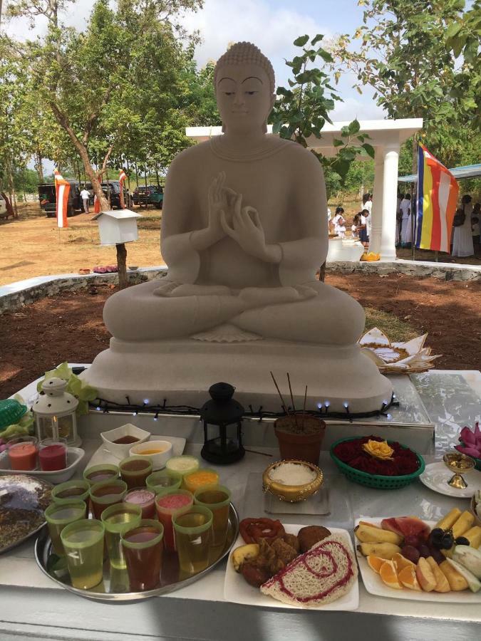Peacock Resort Anuradhapura Bagian luar foto